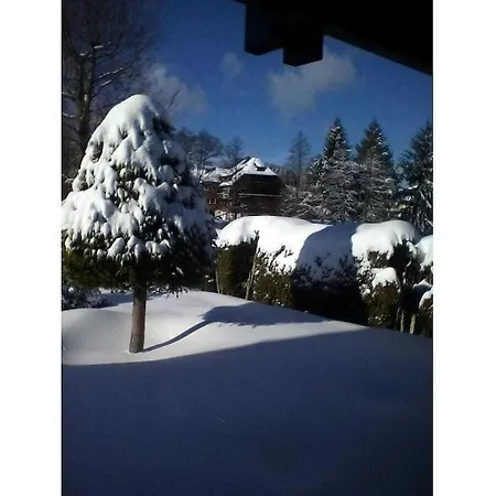 With 2 Bedrooms Casa de Férias Hinterzarten