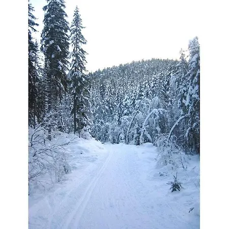 With 2 Bedrooms Hinterzarten