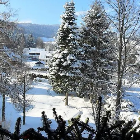 With 2 Bedrooms * Hinterzarten