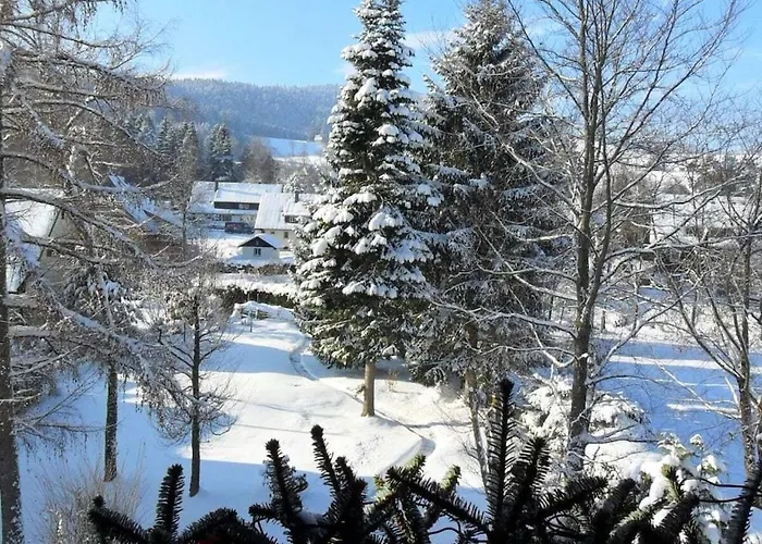 With 2 Bedrooms * Hinterzarten