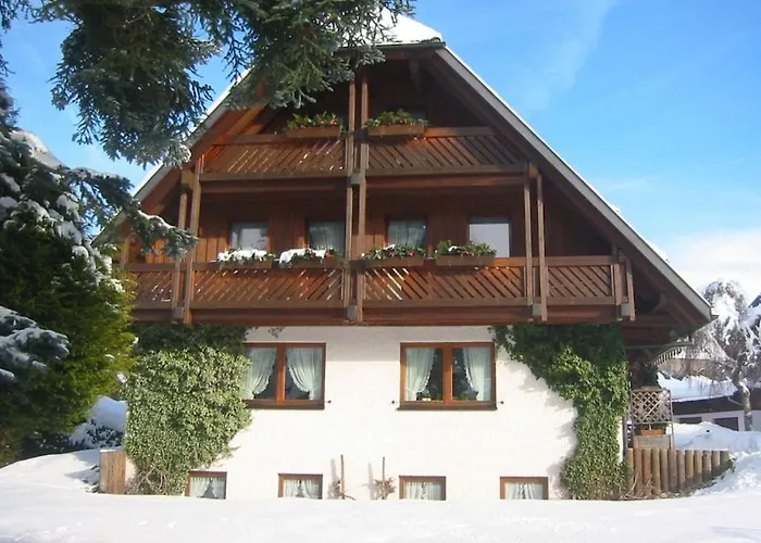 Semesterbostad With 2 Bedrooms Hinterzarten